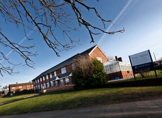 Yew Trees - Dukinfield