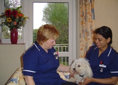 Orchard House Nursing Home - Sutton Coldfield